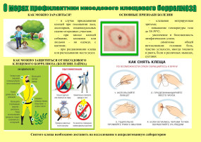 "Горячая линия" по вопросам клещевого энцефалита "Горячая линия" по вопросам клещевого энцефалита.